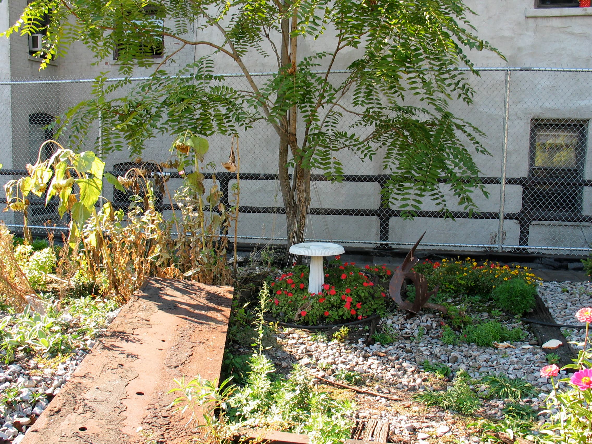 The abandoned High Line viaduct in October 2005 — rusted freight rail running through self-seeded wildflowers and grasses, before construction began.